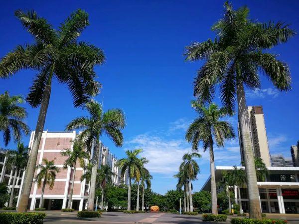 @2024级新生 报到须知已更新，请查收。